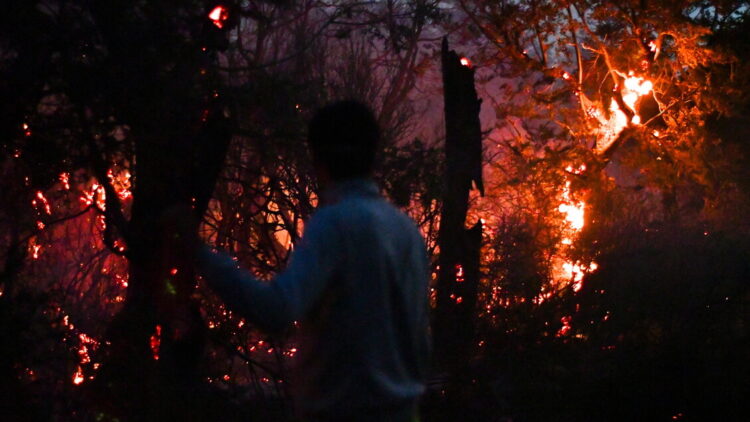 Argentina, dichiarata l’emergenza incendi in Patagonia