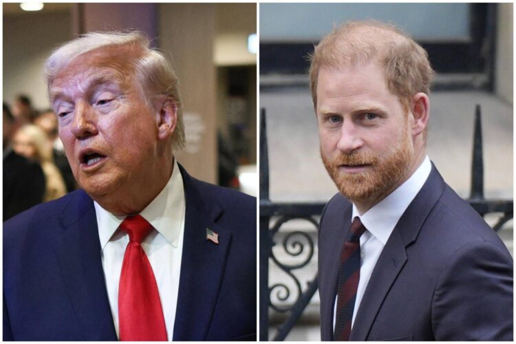 Trump offende soldati Nato: “In Afghanistan erano dietro”. Principe Harry: “Rispetti i sacrifici”