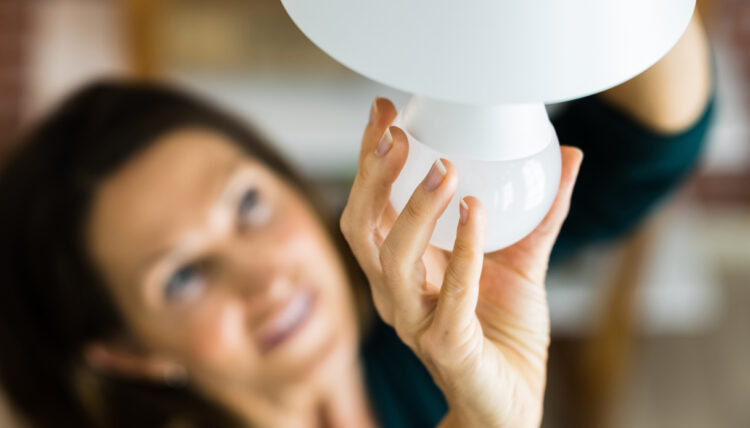 Biodiversità e clima: ogni scelta conta, anche la tua